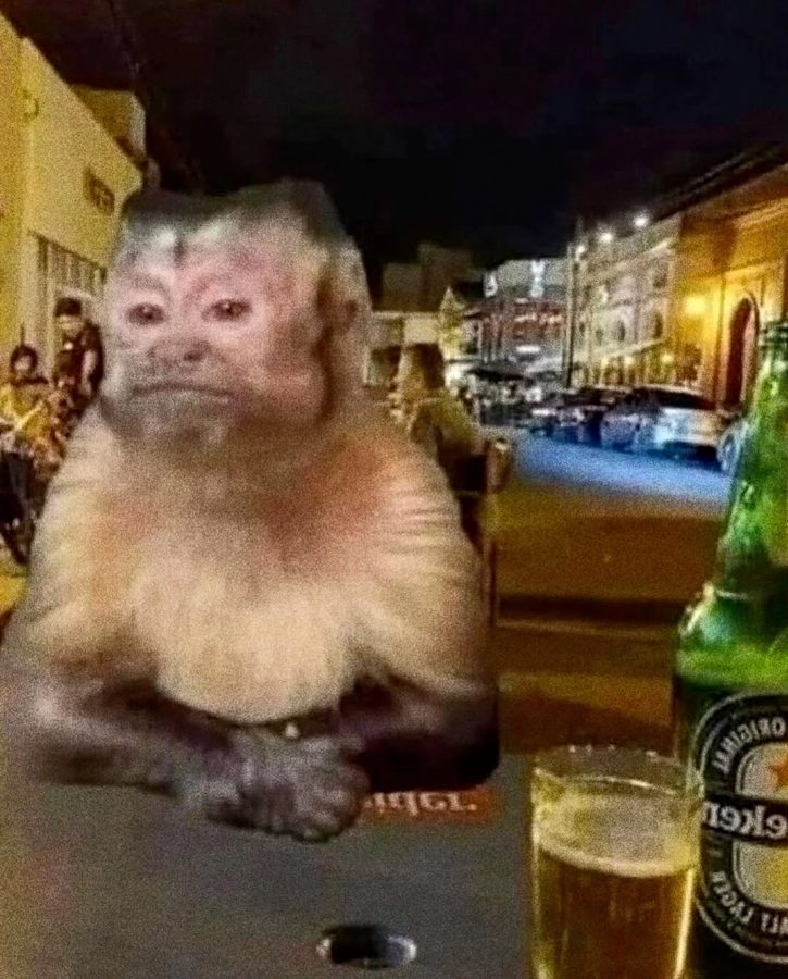 A monkey sitting at a bar table next to a beer