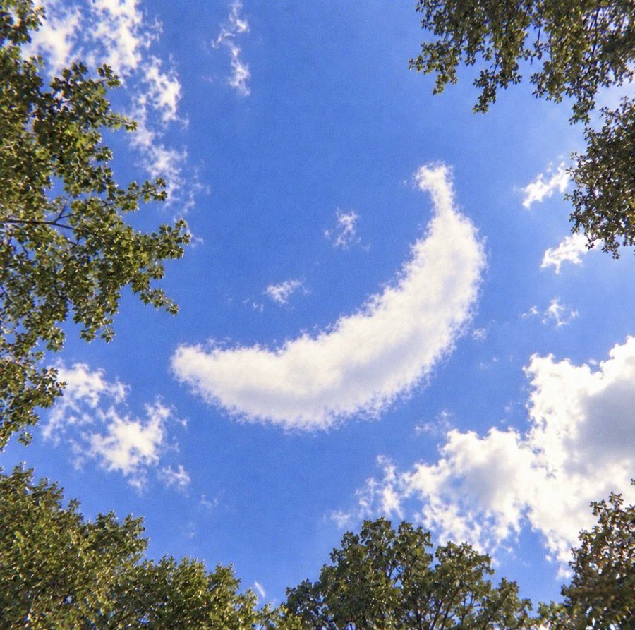 A smile-shaped cloud in a blue sky framed by trees